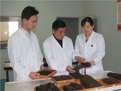 傳承茯茶非遺技藝、開拓創(chuàng)新引領行業(yè)發(fā)展