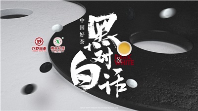 首屆黑白對(duì)話高峰論壇圓滿落幕！湘益茯茶備受關(guān)注！