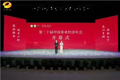 【聚焦第二十屆中國茶業(yè)經(jīng)濟年會】益陽茶廠榮獲“民族團結(jié)互助企業(yè)”、“2024年度茶業(yè)重點企業(yè)”榮譽稱號